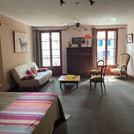 Hotel Vidal Ceret Bagian luar foto