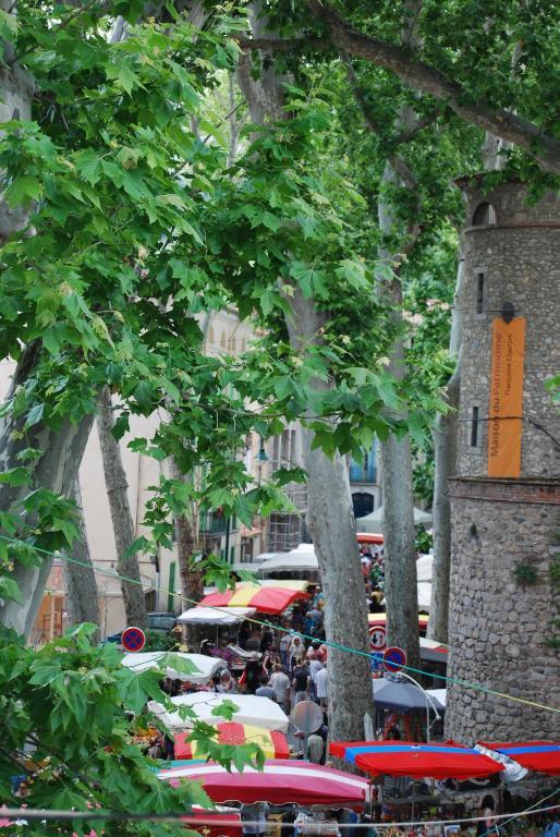 Hotel Vidal Ceret Bagian luar foto